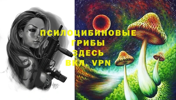 герыч Гусев