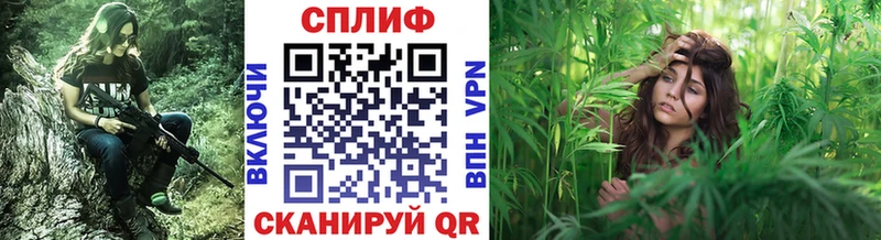 Конопля индика  Красноармейск 